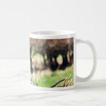 Haie de Blury Tasse À Café