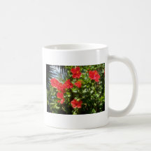 Haie de ketmie, fleurs de l'Espagne Tasse À Café