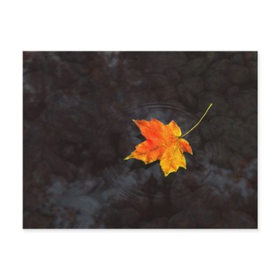 Haiku Postcard by digitalblasphemy