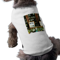 Hair Dye Pet Clothes