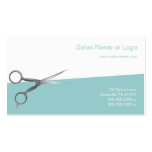 Hair Salon Business and Coupon Cards Business Card Templates