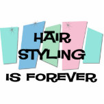 Hair Styling Is Forever photo sculptures