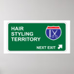 Hair Styling Next Exit Print