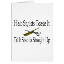 Hair Stylist Tease It Til It Stands Straight Up