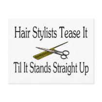 Hair Stylist Tease It Til It Stands Straight Up