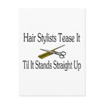 Hair Stylist Tease It Til It Stands Straight Up