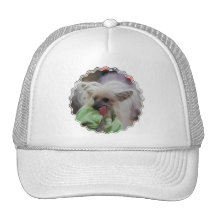 Hairless Chinese Crested Dog  Baseball Hat