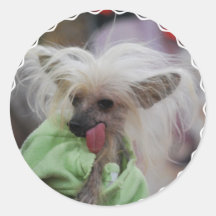 Hairless Chinese Crested Dog  Stickers