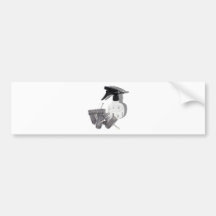 HairRollersWaterSprayer060910shadows Bumper Stickers