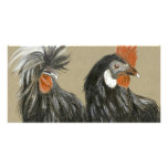 hairstyle chickens photo cards
