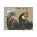 hairstyle chickens postcards
