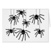 Hairy Cartoon Spiders Greeting Card