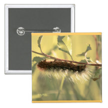 Hairy Caterpillar Pins