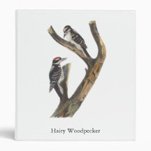 Hairy Woodpecker, John Audubon 3 Ring Binder