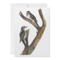 Hairy Woodpecker, John Audubon Personalized Invitations