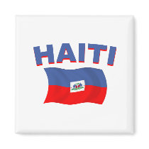 Haiti Flag 2 Fridge Magnets