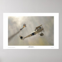 Halberstadt D.III Print