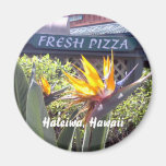 Haleiwa, Hawaii Pizza Bob's Fridge Magnet