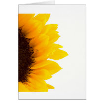 Half a Sunflower