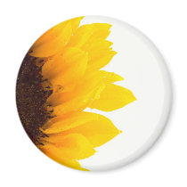 Half a Sunflower
