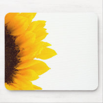 Half a Sunflower