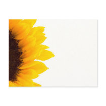 Half a Sunflower