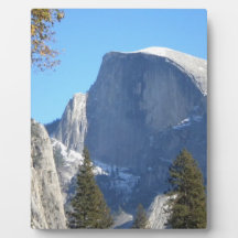 half dome display plaque