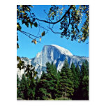 Half-dome - Yosemite National Park Postcard