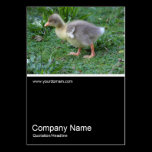 Half&Half Photo 0368 - Gosling business cards