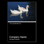 Half&Half Photo 0370 - Emden Geese business cards