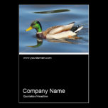 Half&Half Photo 0371 - Mallard Geese business cards