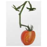 Half vine tomato letterhead