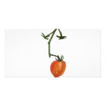 Half vine tomato photo cards