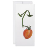 Half vine tomato rack cards