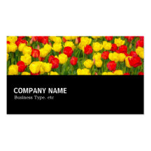 Halfway 02 - Colourful Tulips Business Card Templates