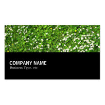 Halfway 030 - Daisies Business Cards