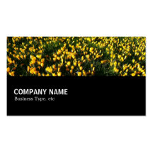 Halfway 044 - Crocuses Business Card Templates