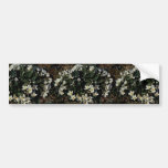 Hall Island wildflowers, Claytonia Bumper Stickers