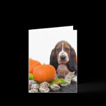 Halloween Basset Hound cards