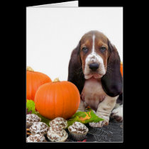 Halloween Basset Hound cards
