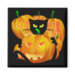 Halloween Black Cat and Pumpkins blackbg Refrigerator Magnets