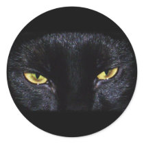 Halloween Black Cat Sticker