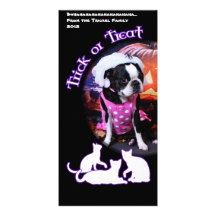 Halloween - Boston Terrier - Georgia Personalized Photo Card