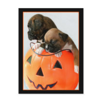 Halloween Boxer puppies postcard