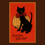 Halloween Cat and Pumpkin posters