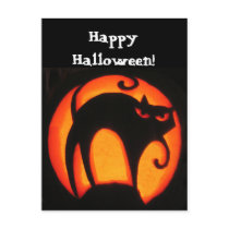 Halloween Cat Postcard