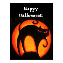 Halloween Cat Postcard