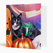 Halloween - chat - marguerite