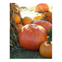 Halloween Fall Scene Postcards