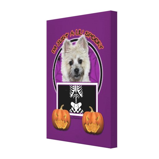 Halloween - Just a Lil Spooky - Cairn - Teddy Bear Canvas Prints